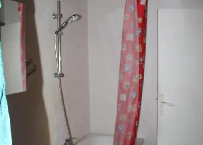 Didier 2 Saint-Michel-de-Lanès